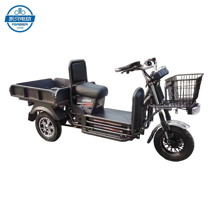 3 Wheel Electric Bicycle