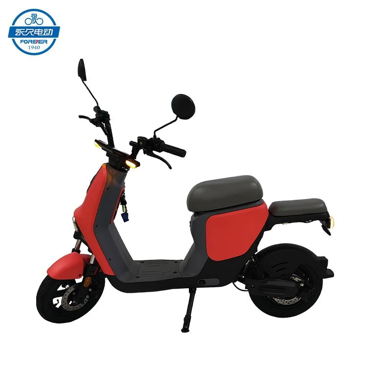 Mini Electric Bike